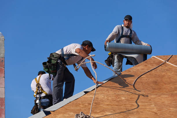 Roof Gutter Cleaning in Los Fresnos, TX